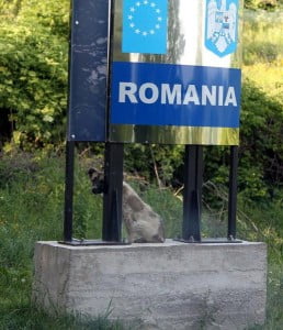Romania-si-catelul-trist