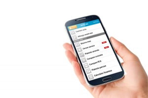 Auto.ro plata amenzii prin telefon